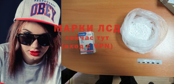 прущие грибы Верея