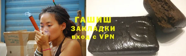 прущие грибы Верея