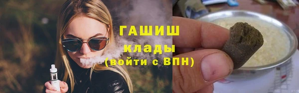 прущие грибы Верея