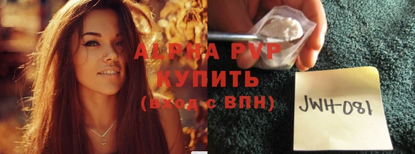 ГАЛЛЮЦИНОГЕННЫЕ ГРИБЫ Галич
