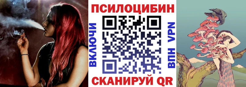 закладки  Горячий Ключ  Псилоцибиновые грибы мицелий 